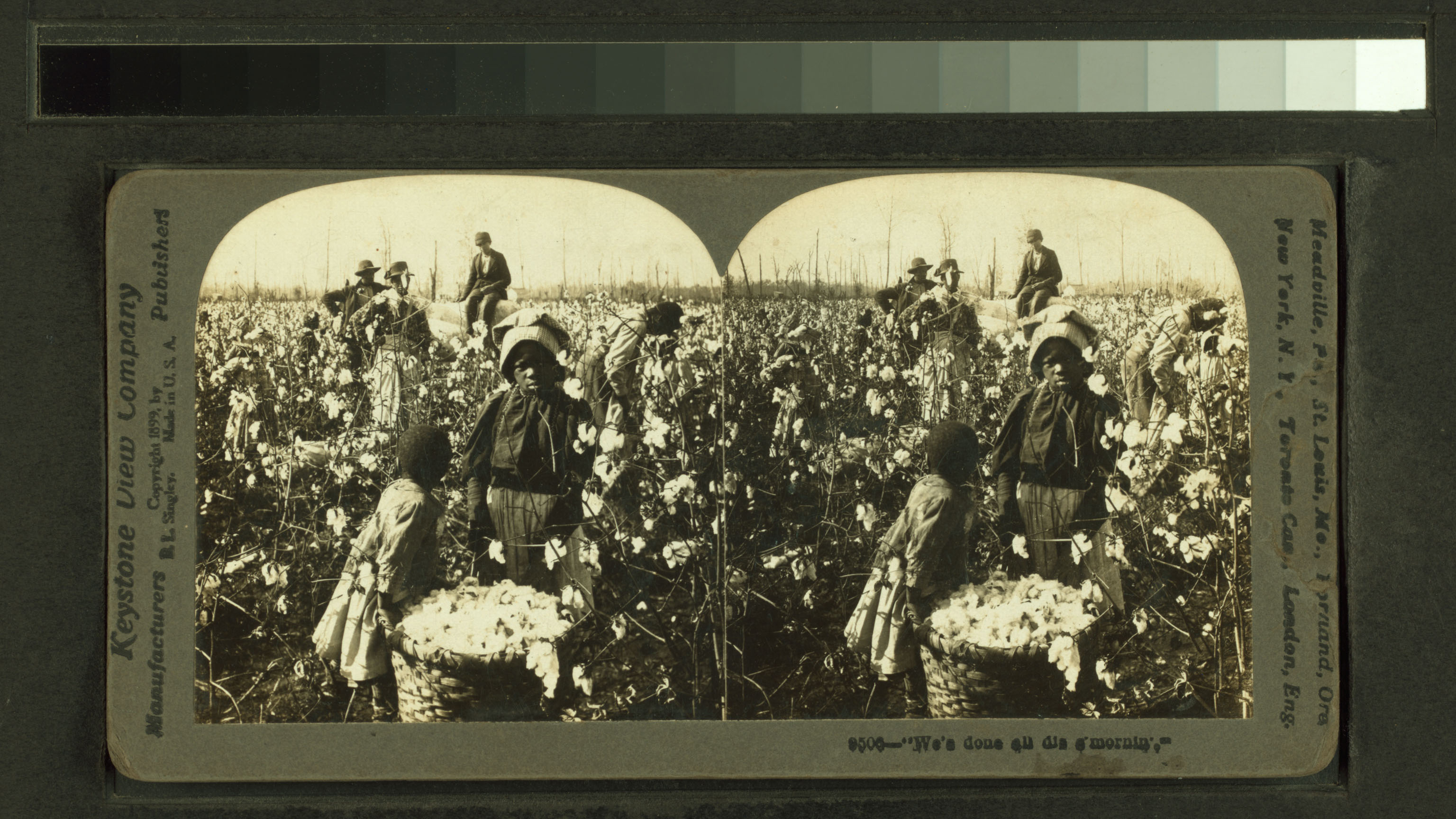 stereoscopic view